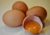 Millionen Eier wurden in Belgien, den Niederlanden und Deutschland aus dem Handel genommen, nachdem eine Belastung mit dem Pflanzenschutzmittel Fipronil festgestellt wurde.