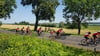 Nach ihrem Stopp in Prenzlau fuhren die Freizeitradsportler an der westlichen Seite am Unteruckersee vorbei.