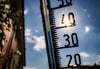 Anfang nächster Woche könnten auch in der Region Temperaturen über 30 Grad Celsius erreicht werden.