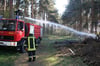 Ein Brand in einem Waldgebiet nahe dem Templiner Waldhof sorgte am späten Dienstnachmittag für einen Einsatz der Feuerwehr.