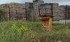 Kinder der Aktiven Naturschule Templin bauten auf einer Blühwiese der Holzindustrie Templin ein Insektenhotel auf.