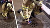 Gasgeruch in der Luft: Die Freiwillige Feuerwehr Neustrelitz musste zum Bahnwerk in die Thurower Landstraße ausrücken. In der Zierker Straße und in der Schlachthofstraße wurden Ende Januar bereits Kanal-Messungen durch die Feuerwehr Neustrelitz durchgeführt.