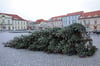Ein Unbekannter wollte in Ribnitz-Damgarten wohl schnell Schluss mit Weihnachten machen und fällte in der Nacht auf den 27. Dezember illegalerweise die Marktplatz-Tanne.