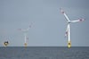 Der Windpark Baltic1 ist eines der bereits existierenden Offshore-Felder in der Ostsee.