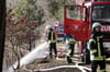 Rund 60 Feuerwehrleute waren im Einsatz, um den ersten größeren Waldbrand des Jahres 2020 zu löschen.