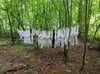 Wer hat die Wäsche in den Wald gehängt?