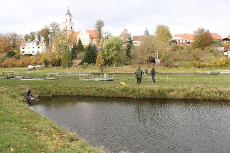 Angler in Boitzenburg stellen wieder Forellen nach