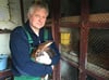 Joachim Demske ist selbst leidenschaftlicher Kaninchenzüchter. Er hält Hasenkanichen (Bild) und Deutsche kleine Widder.