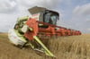Ein Mähdrescher der Gutsverwaltung Schönfeld KG bei der Ernte eines Feldes mit Gerste – die Ernten blieben im trockenen Sommer 2018 hinter früheren Jahren zurück.