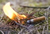 Besonders in den nächsten Tagen kann ein kleiner Funke oder eine weggeworfene Zigarette im Wald drastische Folgen haben.