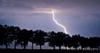 Dieses formschöne Exemplar eines reifen Blitzes im Oder-Spree-Kreis war eines von etwa 49.000, die im vergangenen Jahr in Brandenburg registriert wurden.