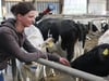 Christina Mielke arbeitet im Landwirtschaftsbetrieb in Wolde. Mit den Kühen vor Ort ist sie bestens vertraut. [KT_CREDIT] FOTO: Denny Kleindienst