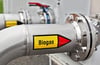 Die Biogas-Produktion hat viele ökologische Vorteile. Doch sie ist teuer.