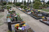 Die Blumendiebstahl-Serie auf dem Mirower Friedhof ist aufgeklärt.