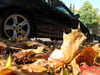 Laub, Ernteabfälle und erster Frost machen die Fahrbahn im Herbst für Autos und Motorräder zuweilen unberechenbar (Symbolbild).