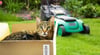 Eine Katze aus Mecklenburg-Vorpommern wurde versehentlich per Post verschickt. Doch Entwarnung – dem Tier geht es gut und der Rücktransport zu Frauchen ist bereits organisiert.