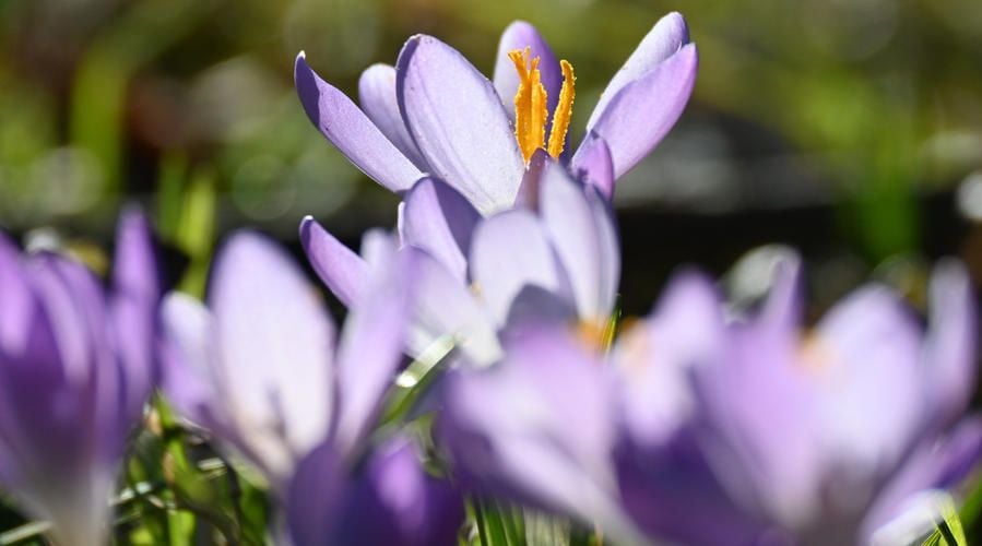Meteorologe schaut voraus erst der Sturm, dann der Frühling