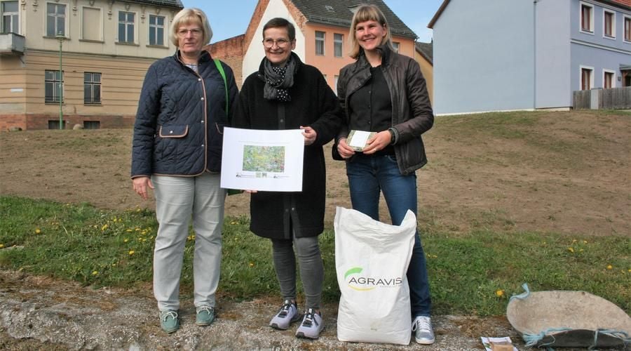 Wo steht der Treptower Tollensewinkel beim Klimaschutz?