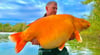 Der Brite Andy Hackett (42) zog diesen riesigen Goldfisch aus einem See in der Champagne.