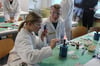 Zwölftklässler Oliver Michalczyk zeigte Martha Klemm (12) bei einem Chemie-Experiment, wie Salze Flammen verschieden färben.