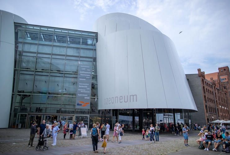 Hehglng Künstliche Qualle Lila - Leuchtende Aquarium Deko Für Faszinierende Unterwasserwelt