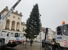 Der Weihnachtsbaum ist am Donnerstag auf dem Markt von Neustrelitz aufgestellt worden. Zum Einsatz kam auch ein Kran.