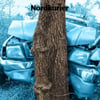 Misslungene Fahrstunde – Neunjähriger fährt Auto gegen Baum