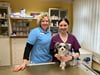 Tierärztin Sophie Dobbert und die Tiermedizinische Fachangestellte Melanie Baum, hier mit Hundepatientin Lotte, sind ein eingespieltes Team in der Tierarztpraxis von Dr. med. vet. Andreas Bockholdt.