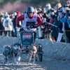 400 Huskies beim Schlittenhunderennen auf Usedom am Start