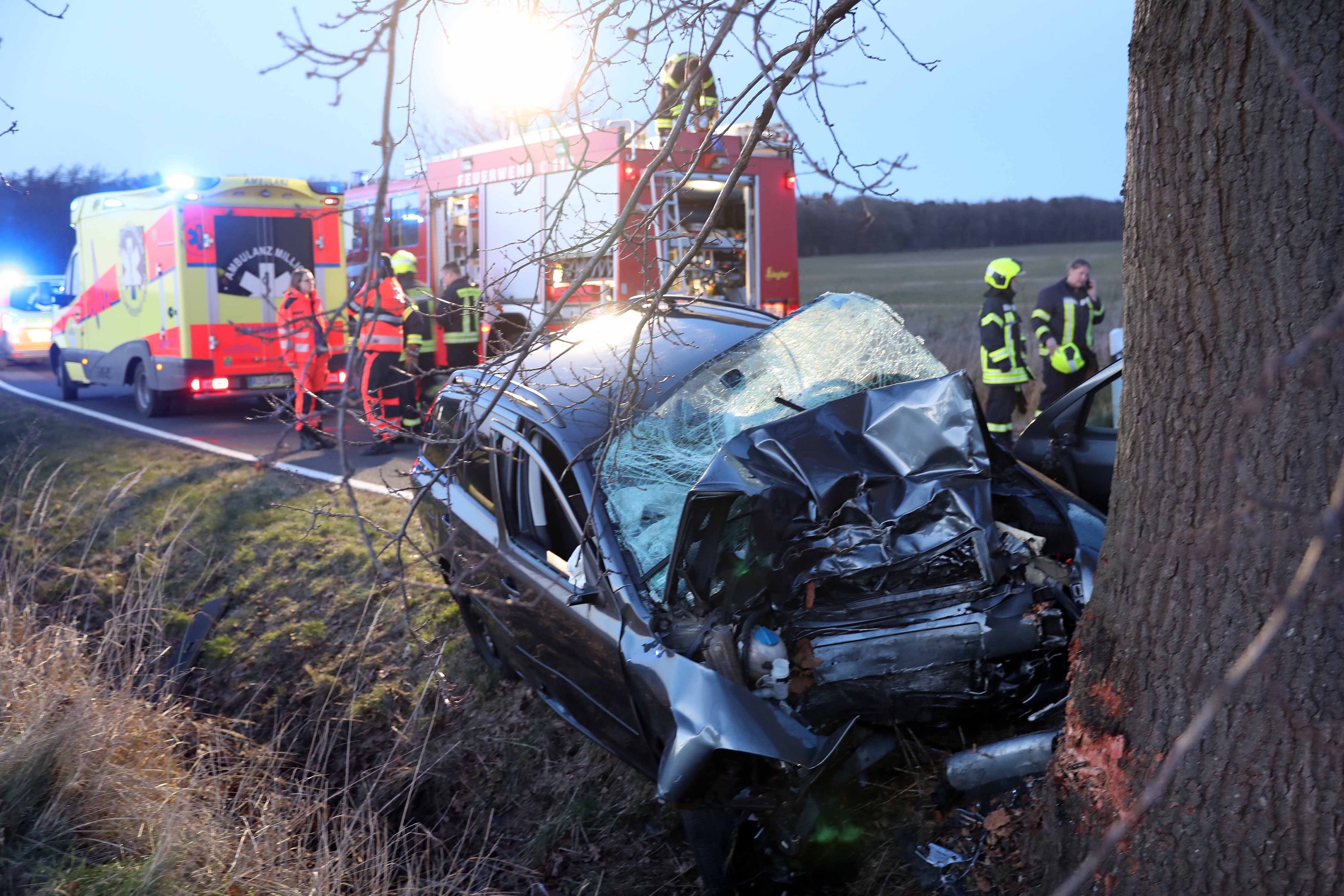 43-Jährige Stirbt Bei Frontalcrash Mit Baum