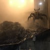 Ursache für Feuer in Stavenhagener Müllbunker steht fest