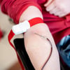 Bestimmte Blutspender erhalten in MV jetzt ein Geschenk