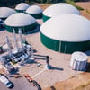 Torgelow stellt zweite Biogasanlage vor