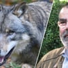 Experte sieht Bestand von Wölfen als gesichert an