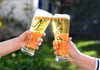 Auf den Tag des Bieres und den ersten Geburtstag der eigenen Brauerei in Wolgast will auch der Verein Wolgaster Braukultur gemeinsam anstoßen.