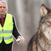 Wolfsangriff auf Menschen in MV – Fake News sagt Backhaus