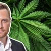 FDP will Cannabis–Modellregion in Vorpommern