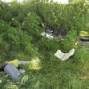 Überall illegaler Müll - Landkreis bezahlt 60.000 Euro für Entsorgung