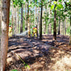 Waldboden geht aus ungeklärter Ursache in Flammen auf