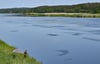 Ein Angler steht am Ufer des deutsch-polnischen Grenzflusses Oder nahe Schwedt - droht hier eine erneute Katastrophe wie 2022?