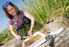 Mandy Schäfer, Biologin des Friedrich-Loeffler-Instituts sammelt Mückenlarven.