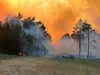 Waldbrände in MV offenbar verheerender als 2019