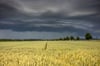 Unwetter in Deutschland: Hagel und Tornados erwartet
