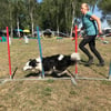 Hunde sorgen für Rekord in Vorpommern