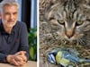 Katzensterben in Polen – wie gefährlich ist die Vogelgrippe?