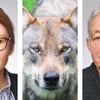 Bürgermeister begrüßen neuen Umgang mit Wölfen