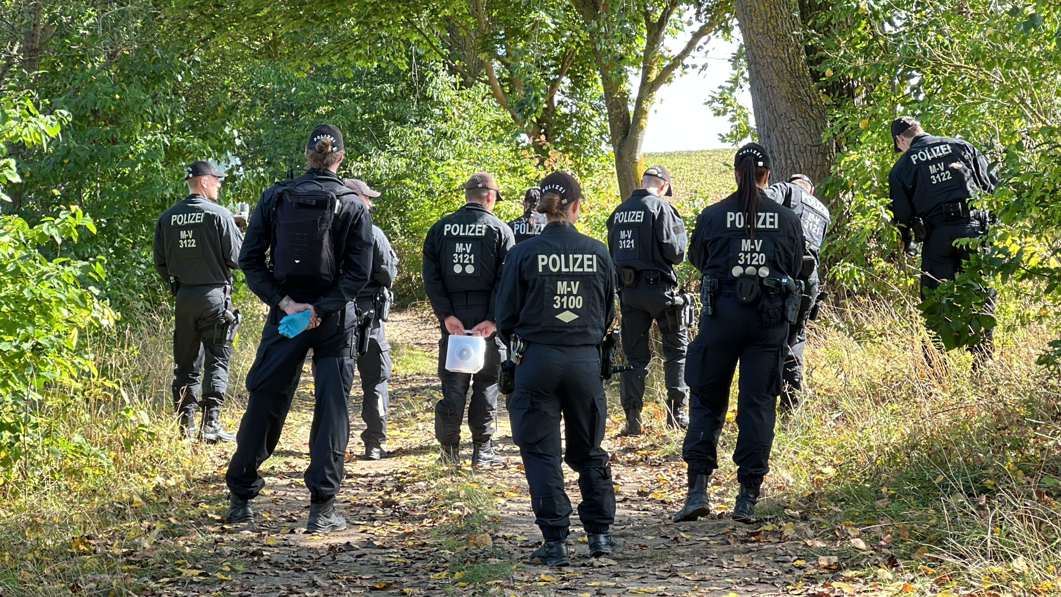 Klötze Mehr Details Nach Attacke Im Waldbad Die Polizei Ermittelt Was Ist Passiert - 44lgseu