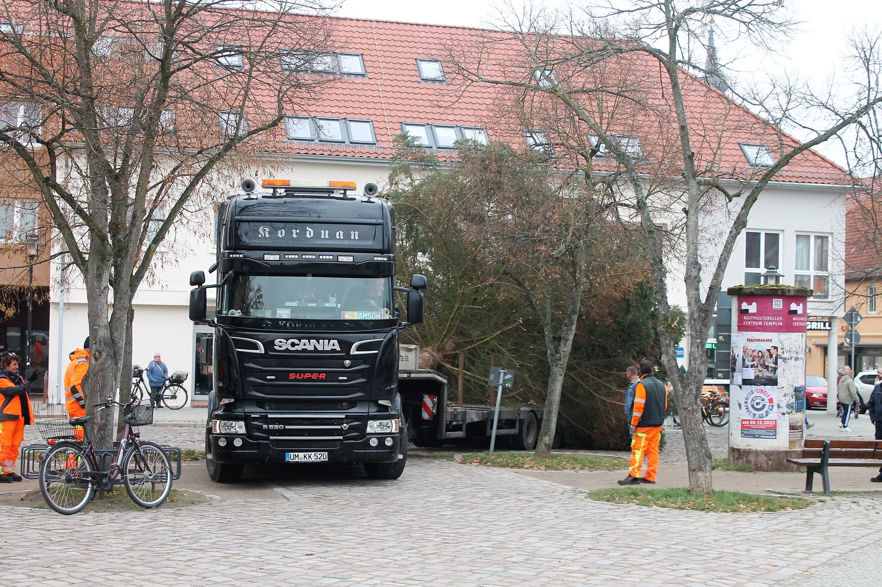 13 Vorschläge für Weihnachtsbaum auf dem Markt