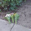21-Jähriger in Neubrandenburg getötet ‐ Mutter äußert sich öffentlich