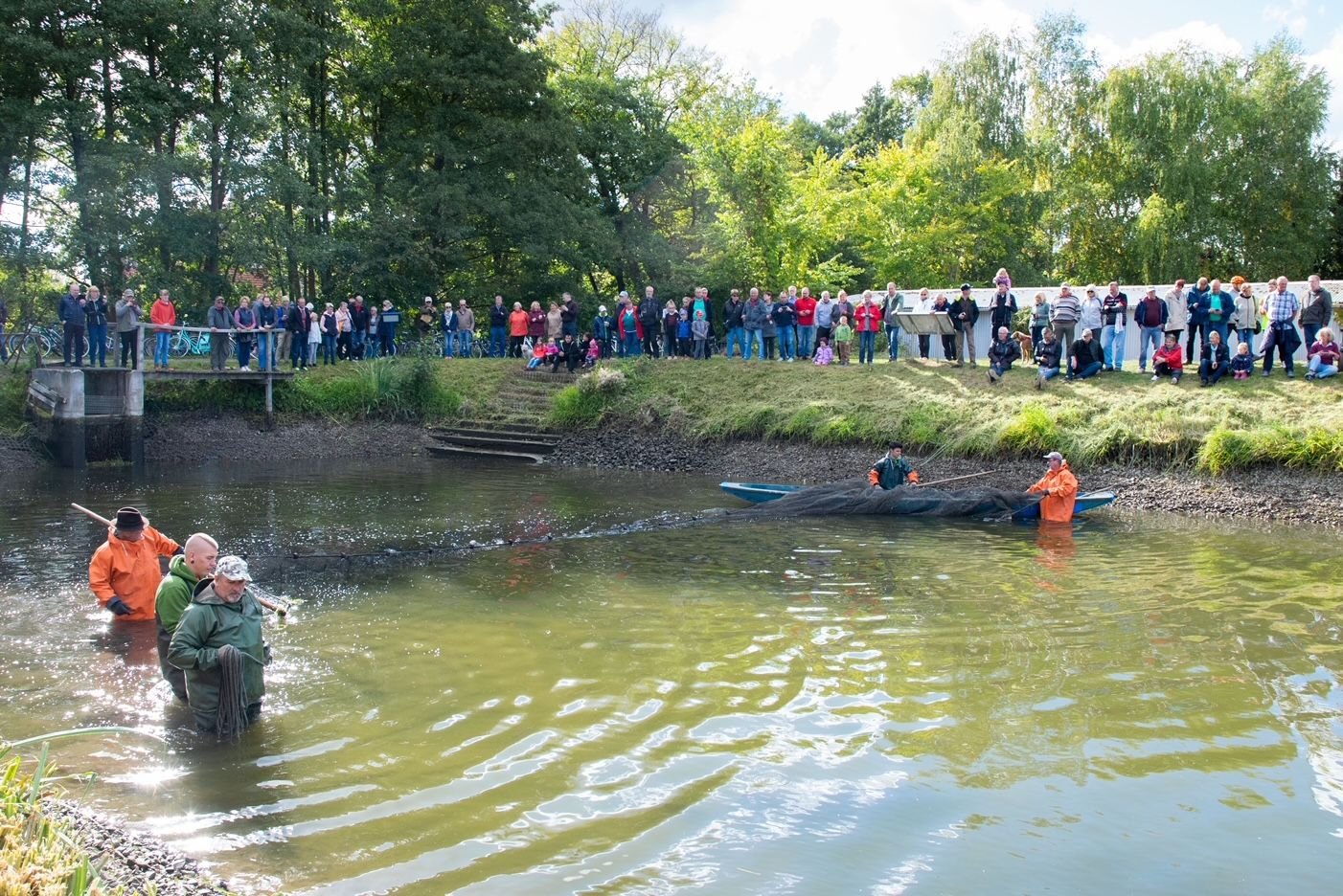 Welse, Karpfen und Schleie ‐ Erstes Abfischfest nach langer Pause